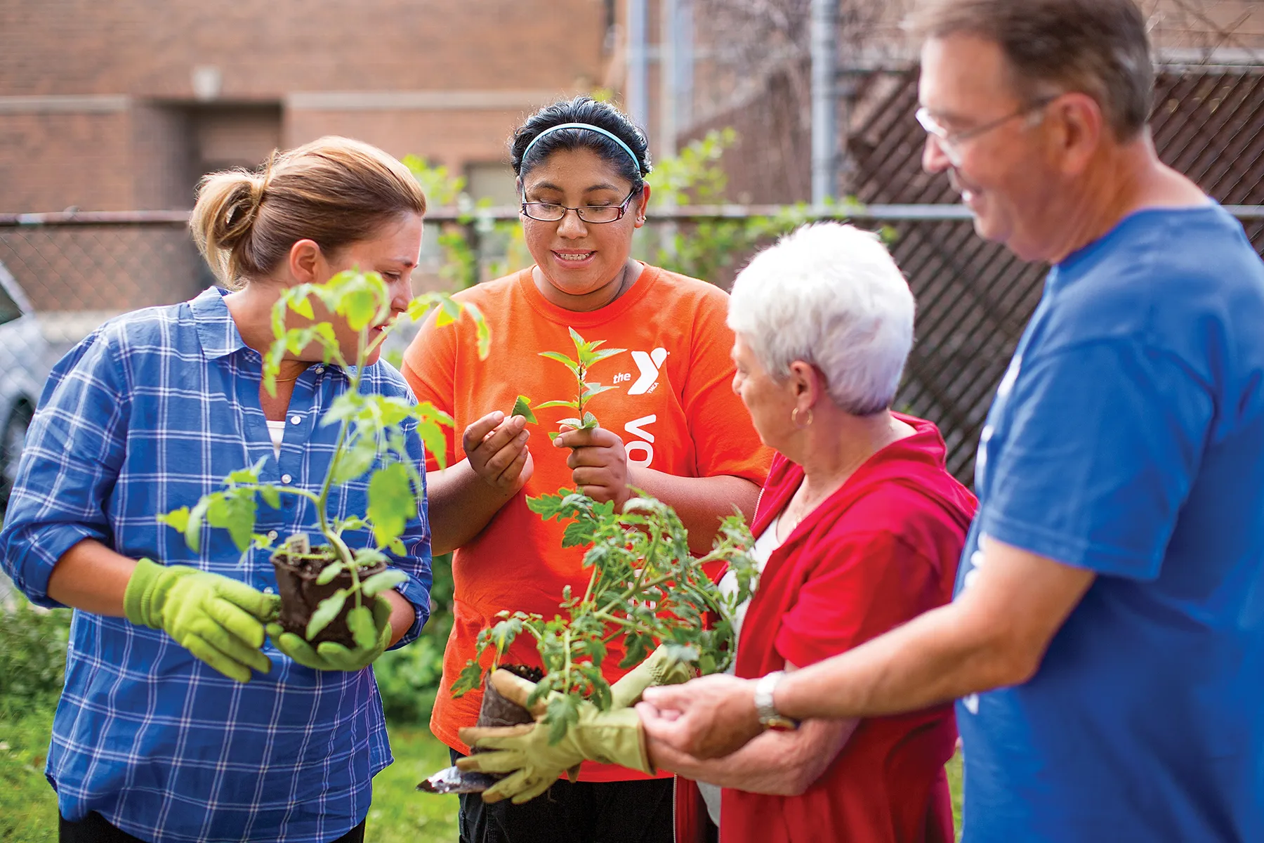 Group of farm volunteers