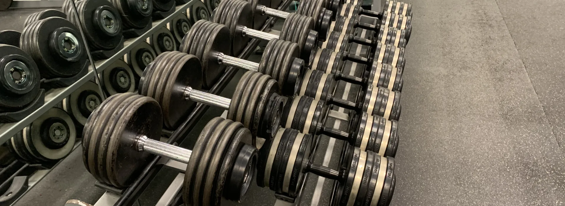 rack of dumbbells in fitness center